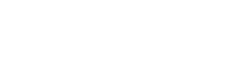 Force Inspection Services white logo