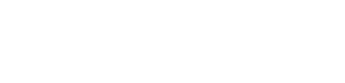 Force Inspection Services